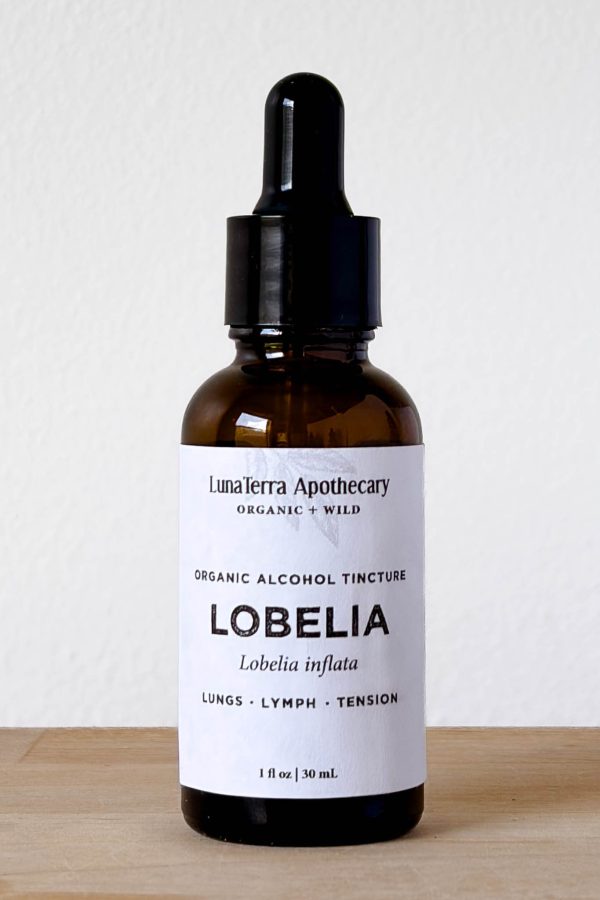 Organic Lobelia Alcohol Tincture | Lungs & Tension