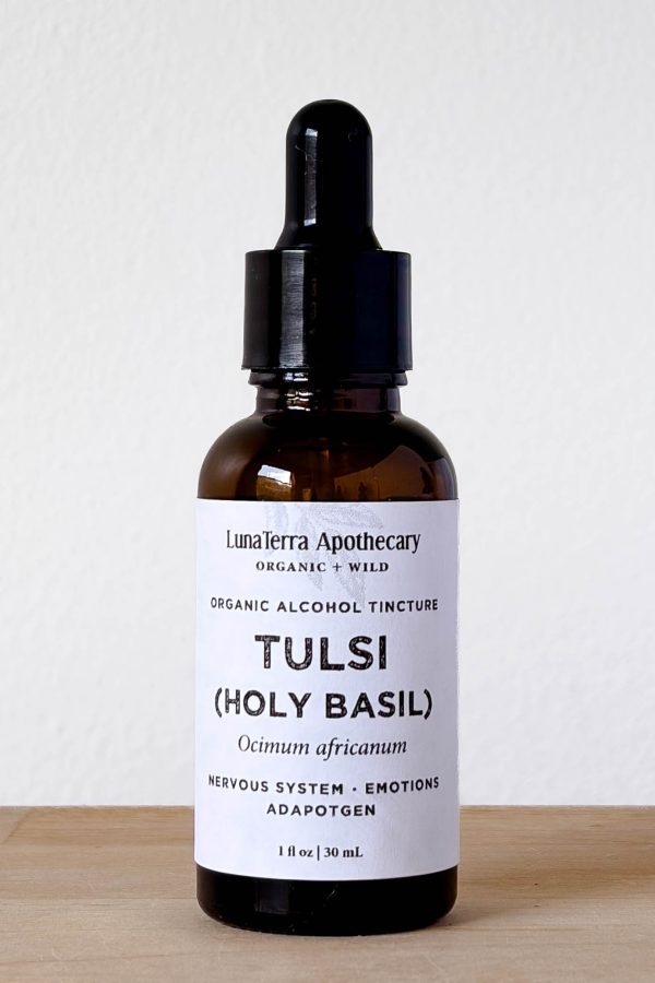 Organic Tulsi (Holy Basil) Alcohol Tincture | Nervous System & Emotional Resilience