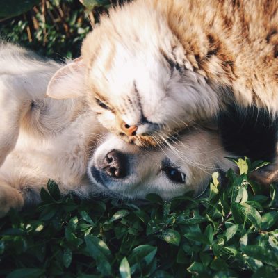 krista-mangulsone-9gz3wfHr65U-unsplash (1)